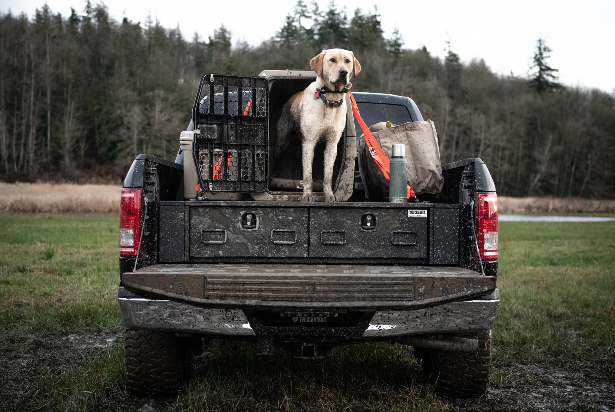 A hunting dog on top of a muddy all-weather TruckVault system for storing guns.