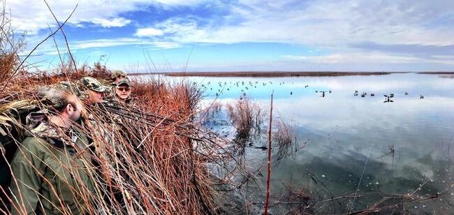 Three hunters looking out at the water while on a waterfowl hunt.