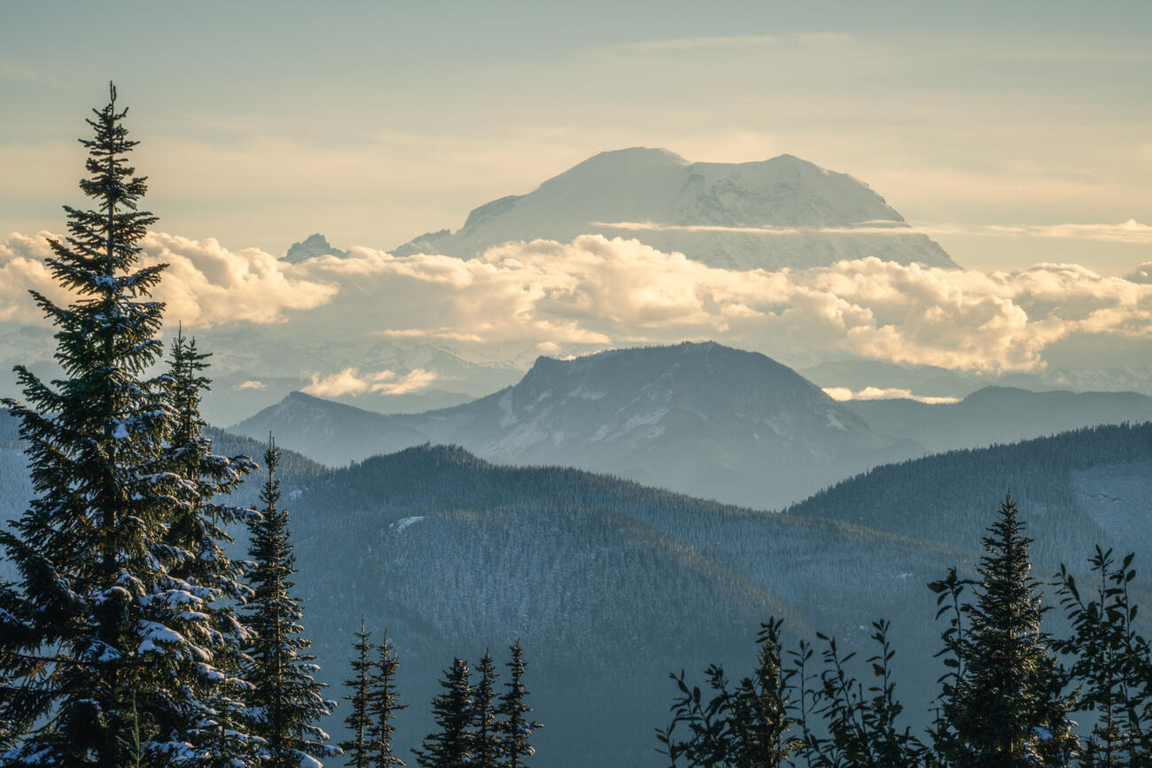 mountains and trees