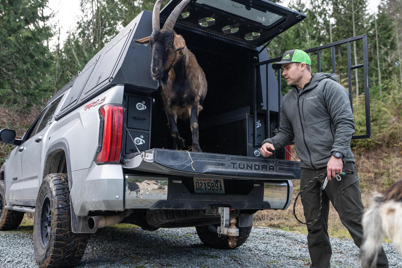 custom truckvault for hunting with pack goats
