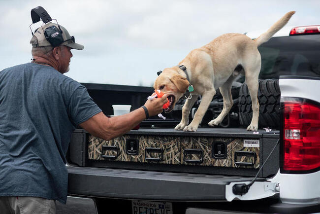 A man and his yellow lab standing on top of his TruckVault, playing tug of war.