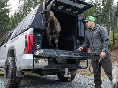 custom truckvault for hunting with pack goats